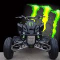 MONSTER ENERGY